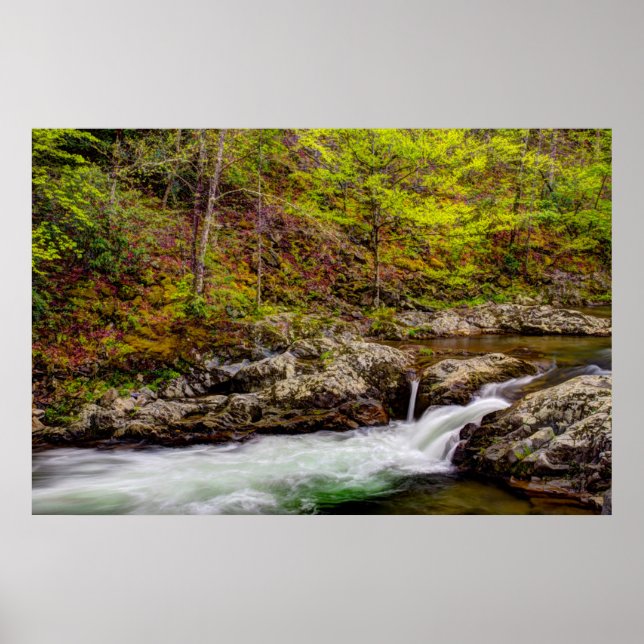 Forest Stream In Great Smoky Mountains Poster (Front)