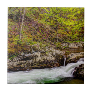 Forest Stream In Great Smoky Mountains Tile