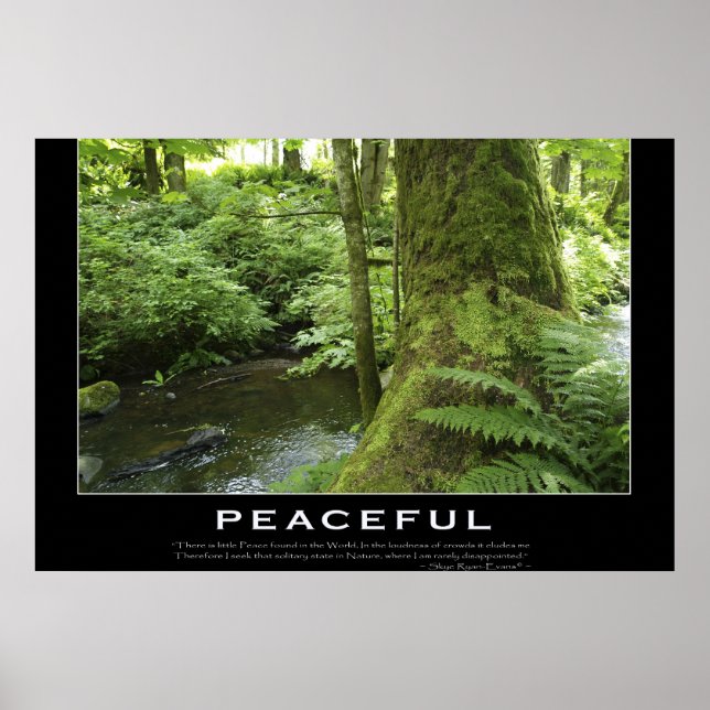 FOREST STREAM Nature Photo Poster Imprimer (Devant)