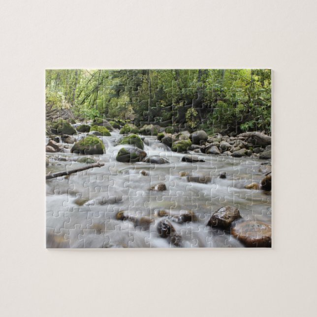 Forest Stream photo puzzle (Horizontal)