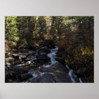 Forest Stream Poster
