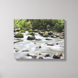 Forest Stream wrapped canvas