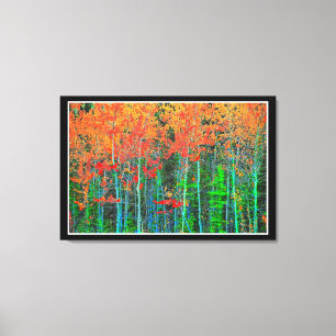 Forest Stretched Canvas Print
