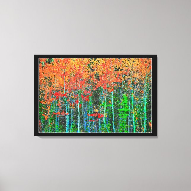 Forest  Stretched Canvas Print (Front)