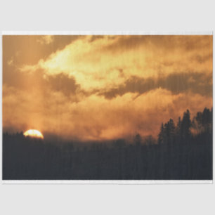 Forest Sunset Decoupage Tissue Paper