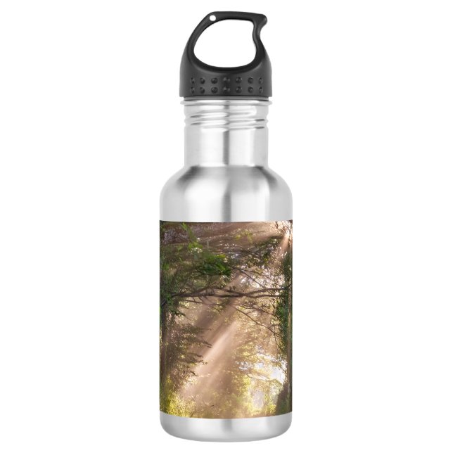 Forest trail 532 ml water bottle (Front)