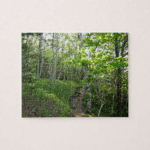 Forest Trail at Acadia National Park Jigsaw Puzzle