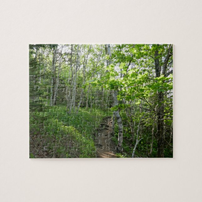 Forest Trail at Acadia National Park Jigsaw Puzzle (Horizontal)