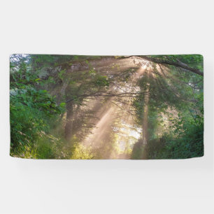 Forest trail banner