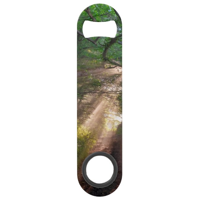 Forest trail bar key (Front)