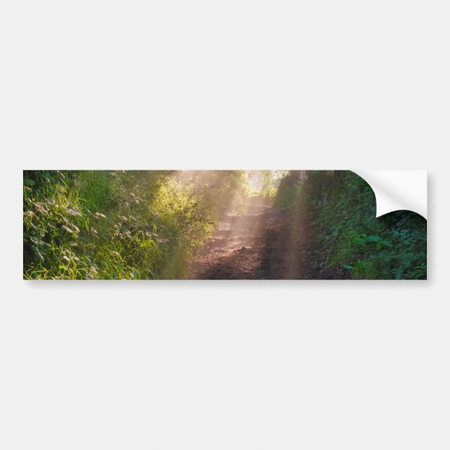 Forest trail bumper sticker (Front)