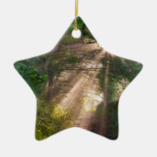 Forest trail ceramic ornament