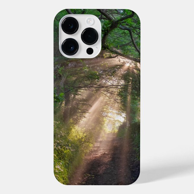 Forest trail iPhone case (Back)
