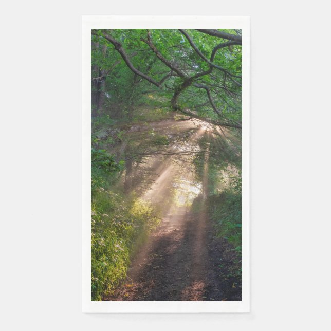 Forest trail napkin (Front)