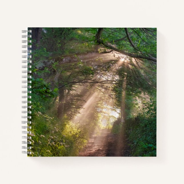 Forest trail notebook (Front)
