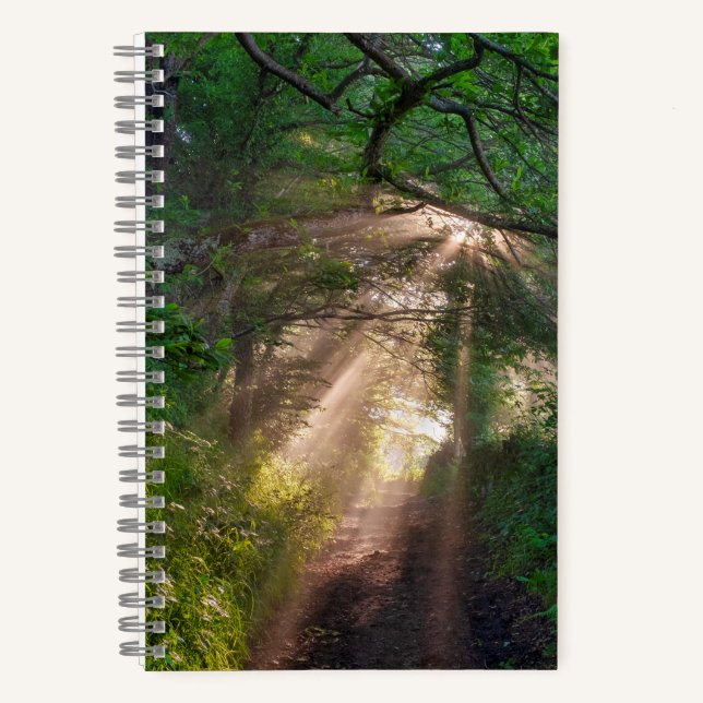 Forest trail notebook (Front)