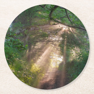Forest trail round paper coaster