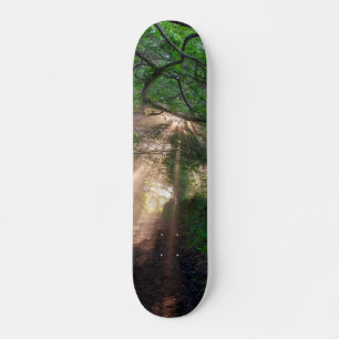 Forest trail skateboard