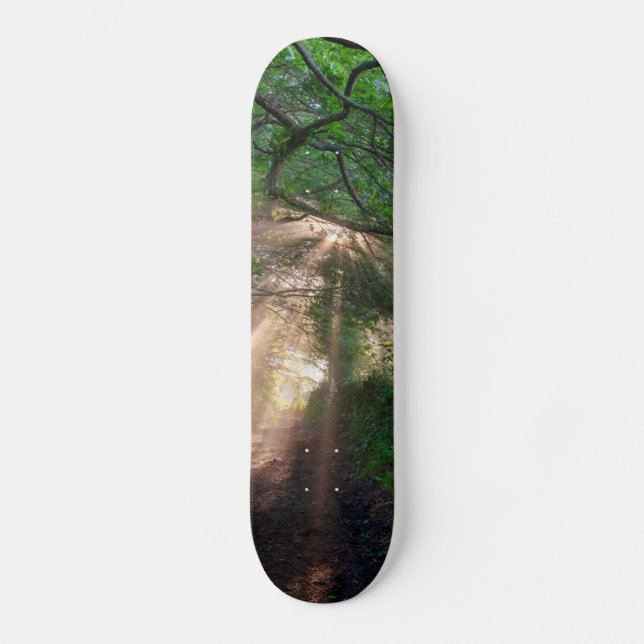 Forest trail skateboard (Front)