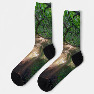 Forest trail socks