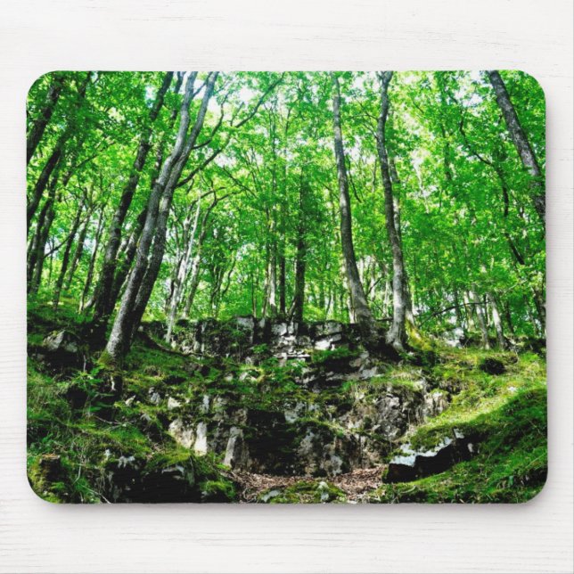 Forest Trails Walking in Wales Neath Valley Mouse Pad (Front)