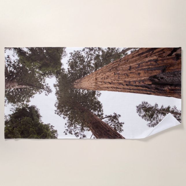forest, tree beach towel (Front)