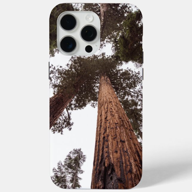 forest, tree Case-Mate iPhone case (Back)