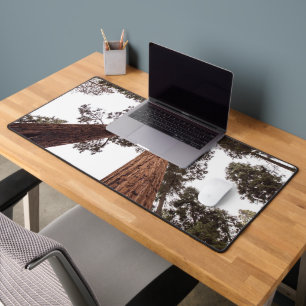 forest, tree desk mat