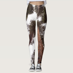 forest, tree leggings