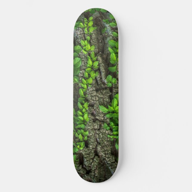Forest Tree Skateboard Deck (Front)