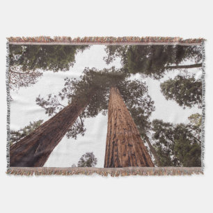 forest, tree throw blanket