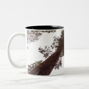 forest, tree Two-Tone coffee mug