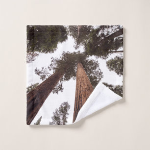 forest, tree wash cloth