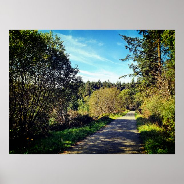 Forest Trees along walking path Gorgeous day Poste Poster (Front)