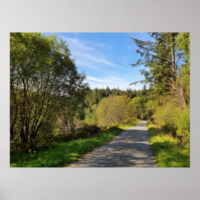 Forest Trees along walking path Gorgeous day Poster (Front)