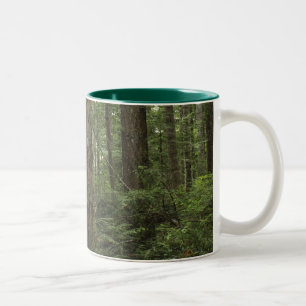 Forest Trees  & Ferns Mug