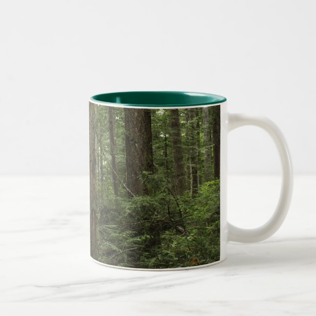 Forest Trees  & Ferns Mug (Right)