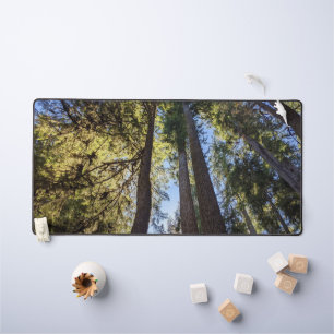 Forest Trees Landscape Desk Mat