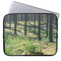Forest trees. nature green wood sunlight backgroun