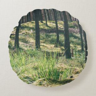 Forest trees. nature green wood sunlight backgroun round pillow