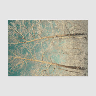Forest Trees Teal Sky Winter Woodland Tissue Paper
