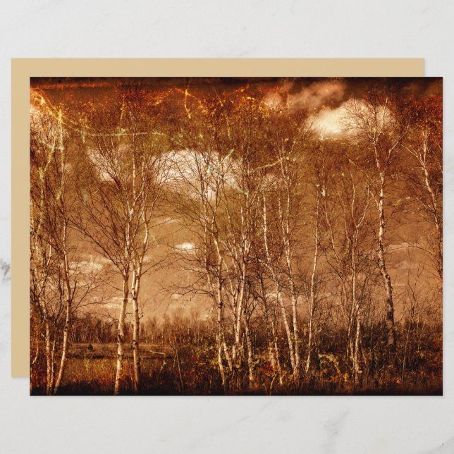 Forest Trees Vintage Grunge Rustic Texture Clouds (Front/Back)