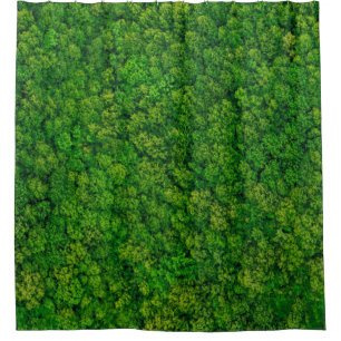 Forest view from above, aerial top view with copy