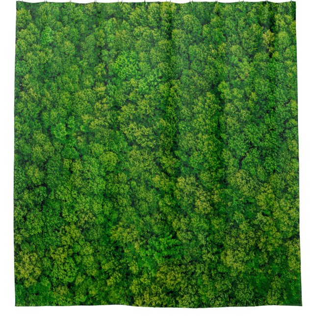Forest view from above, aerial top view with copy  (Front)