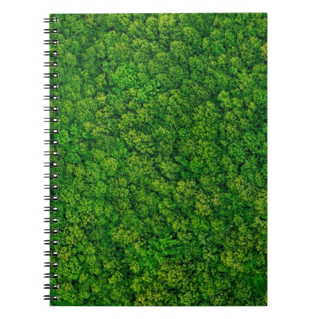 Forest view from above, aerial top view with copy  notebook (Front)