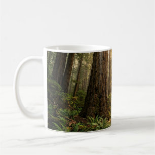 Forest Walk Coffee Mug