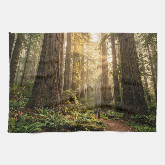 Forest Walk Kitchen Towel (Horizontal)
