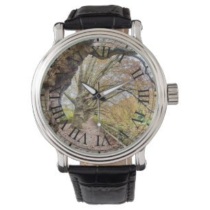 Forest Walk Watch