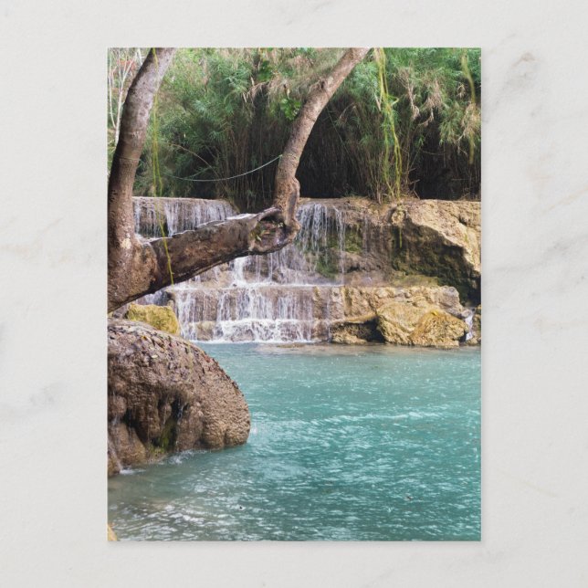 Forest Waterfall & Lagoon, Khoung Si Falls, Laos Postcard (Front)