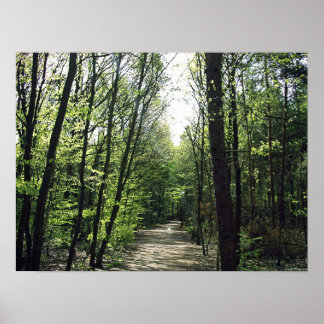 Forest Way Poster